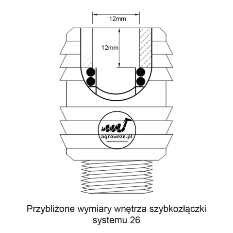 Szybkozłacze gniazdo ze spiralą DN10X8 Szybkozłacze gniazdo ze spiralą DN10X8